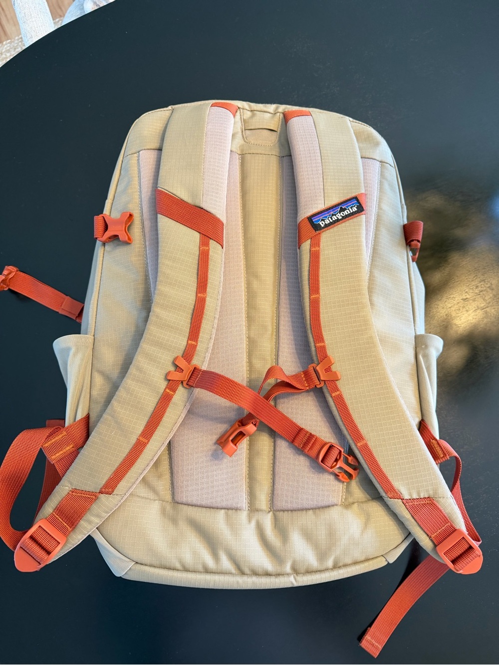 Patagonia Backpack - Picture 2 of 6